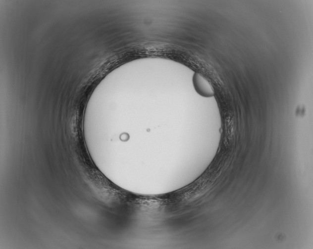 X0000096970698200802291122