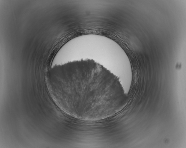 X0000096970699200802291122