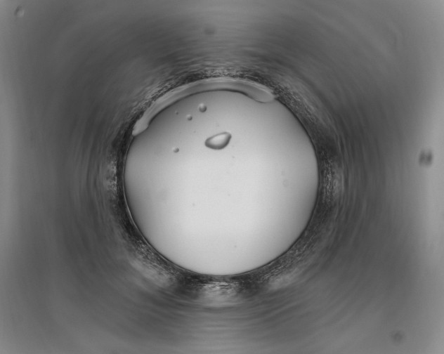 X0000096970700200802291122