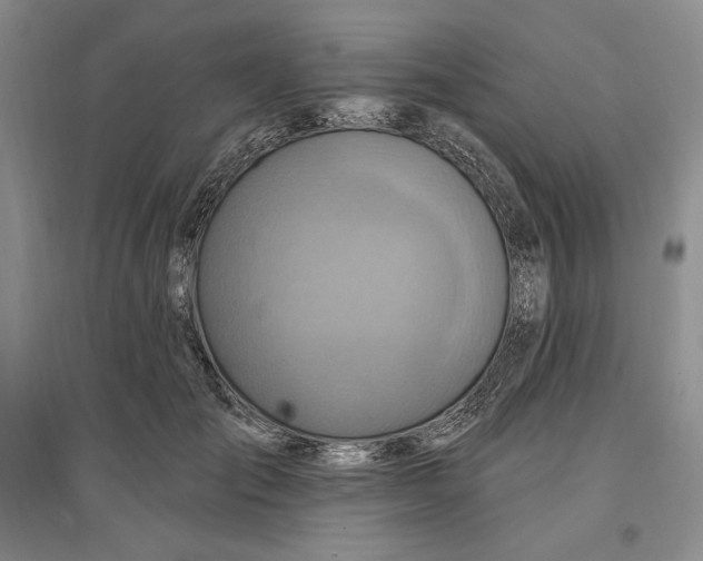 X0000096970701200802291122