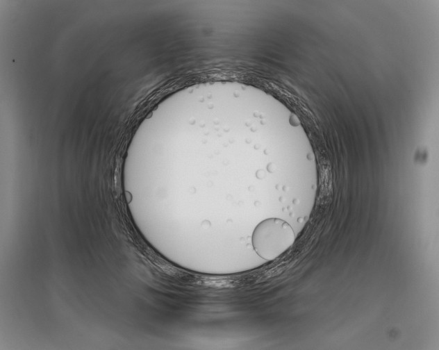 X0000096970702200802291122