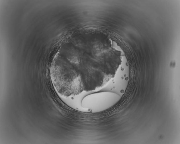 X0000096970703200802291122