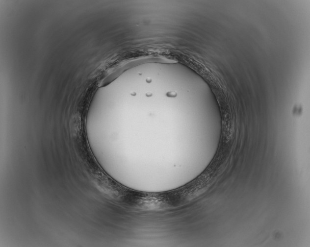 X0000096970704200802291122