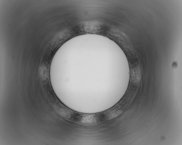 X0000096970705200802291122