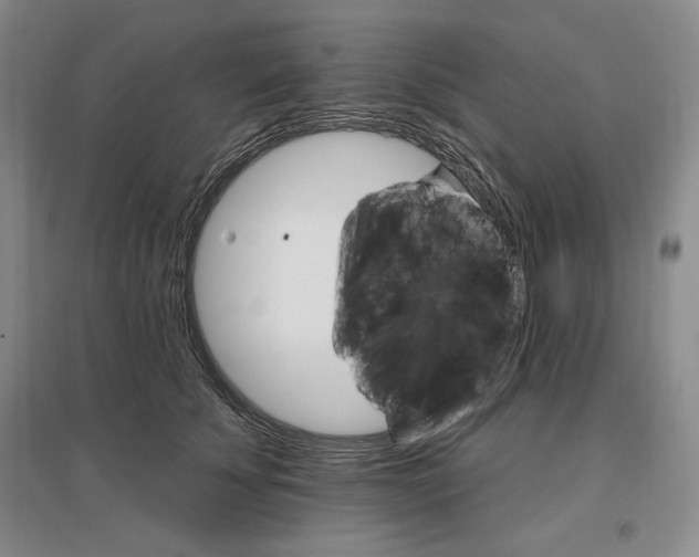 X0000096970707200802291122