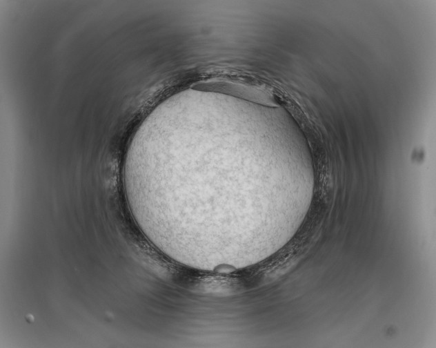 X0000096970708200802291122