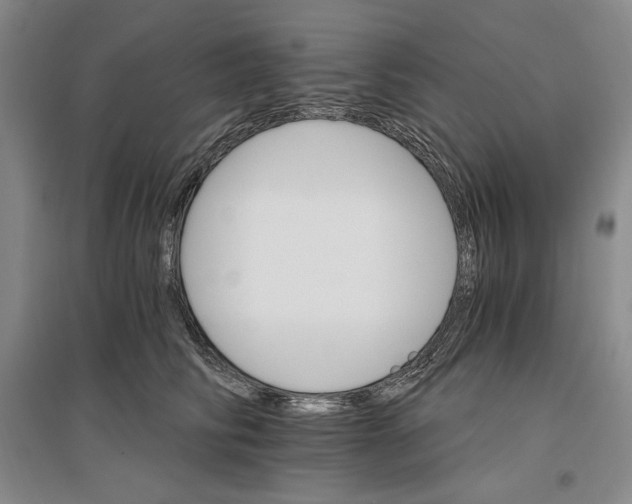 X0000096970710200802291122