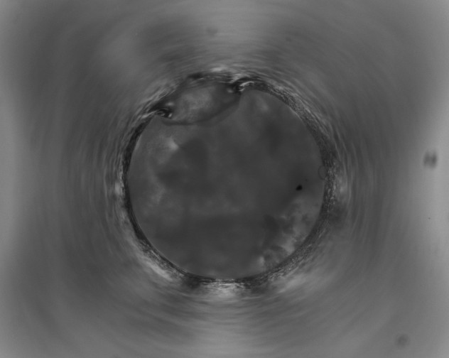 X0000096970711200802291122