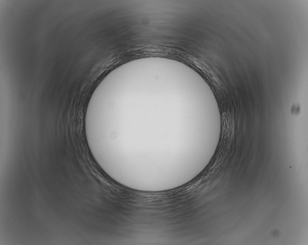 X0000096970713200802291122