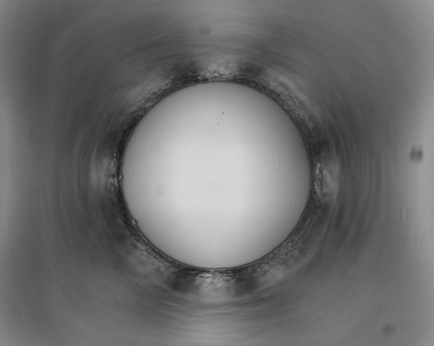 X0000096970714200802291122