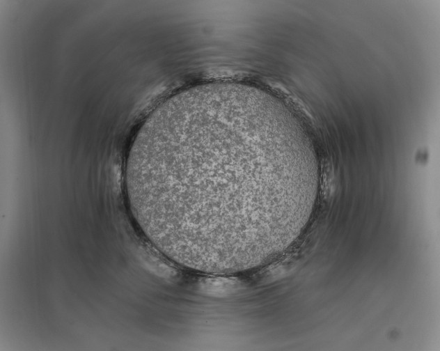 X0000096970716200802291122