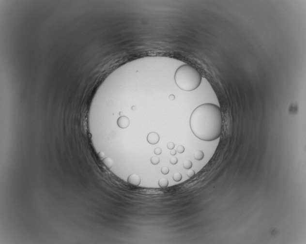 X0000096970719200802291121