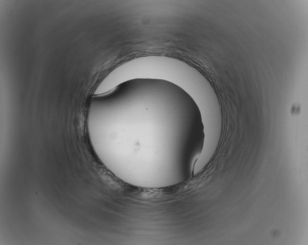 X0000096970720200802291121