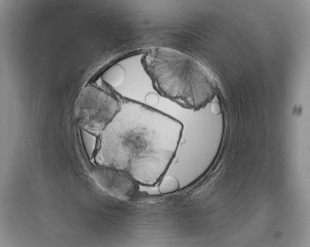 X0000096970721200802291121