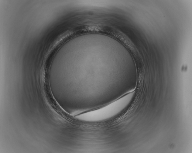 X0000096970722200802291121