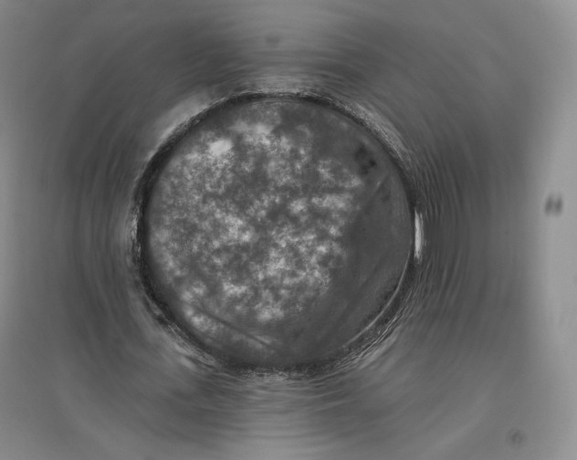 X0000096970723200802291121