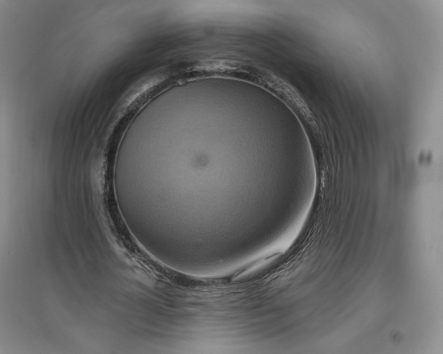 X0000096970724200802291121