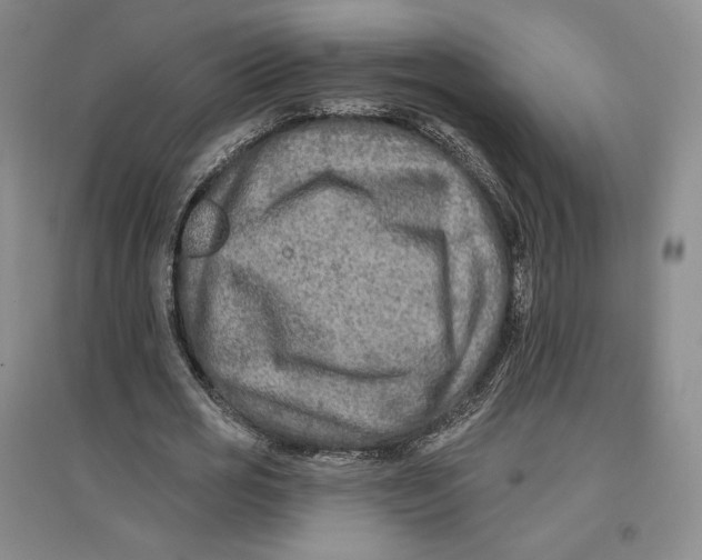 X0000096970725200802291121