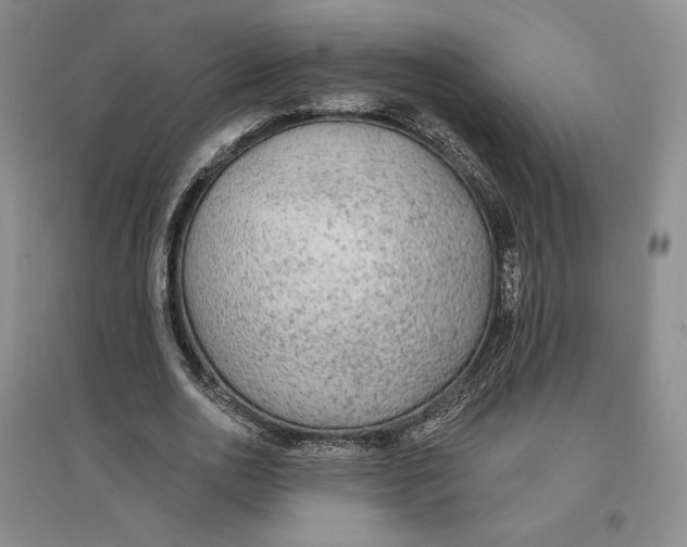 X0000096970726200802291121