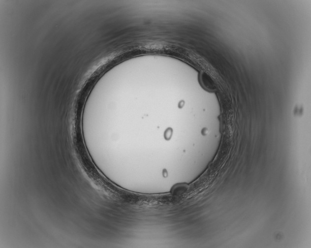 X0000096970728200802291121