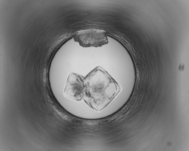 X0000096970729200802291121