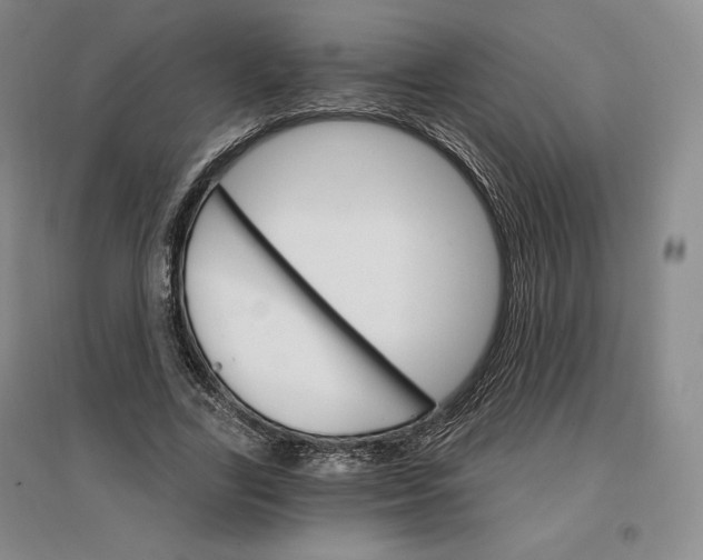 X0000096970731200802291121