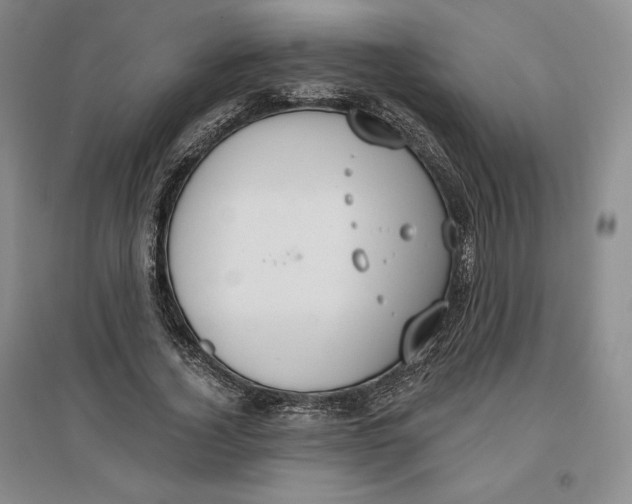 X0000096970732200802291121