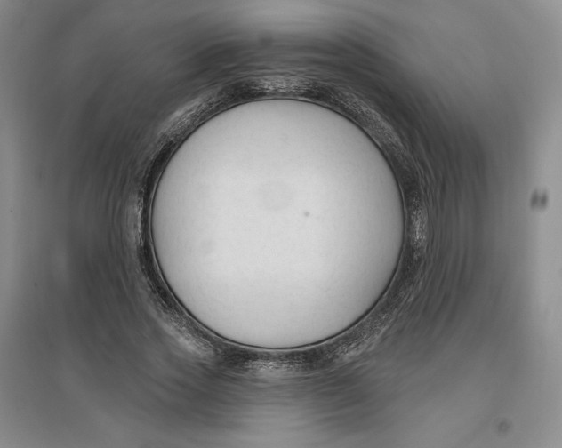 X0000096970733200802291121