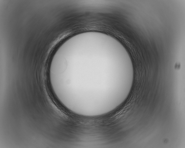 X0000096970734200802291121