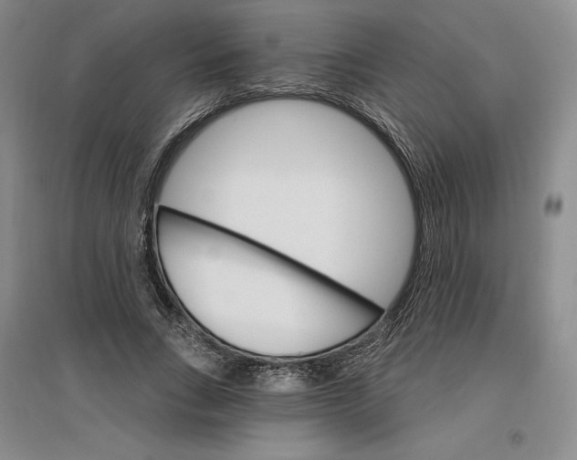 X0000096970735200802291121