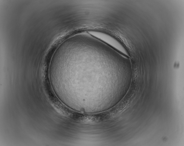 X0000096970736200802291121