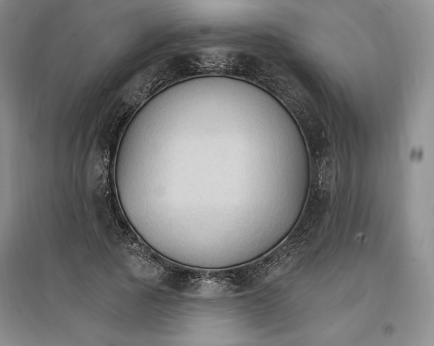 X0000096970737200802291121