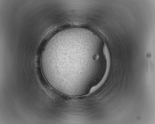 X0000096970738200802291121