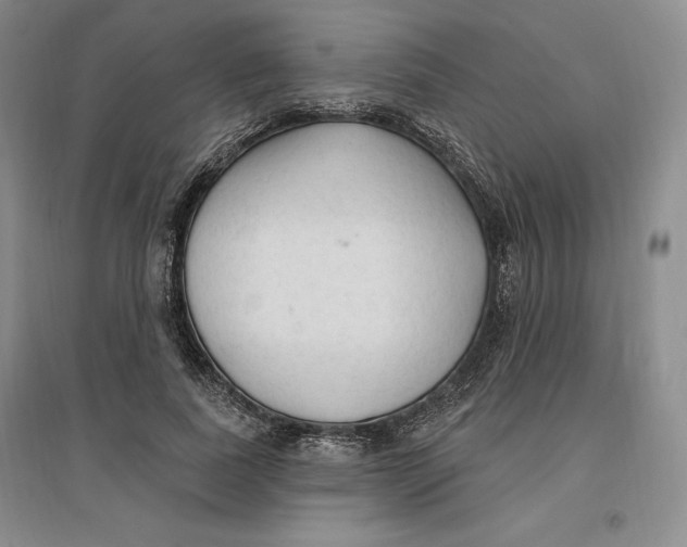 X0000096970739200802291121