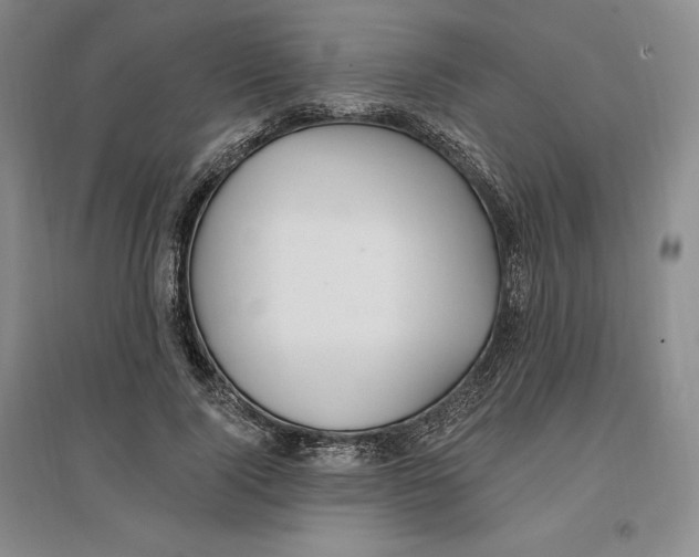 X0000096970740200802291121