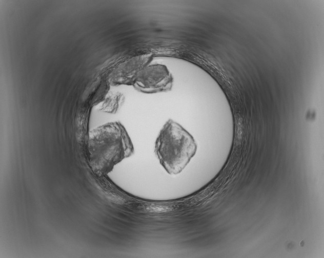 X0000096970741200802291121