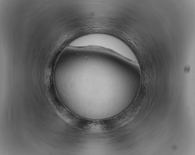 X0000096970742200802291121