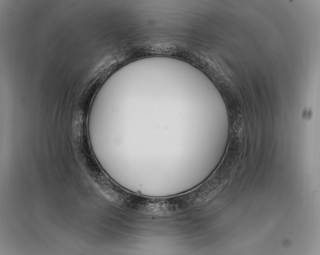 X0000096970744200802291121