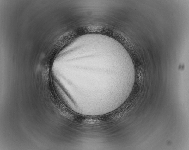 X0000096970745200802291121