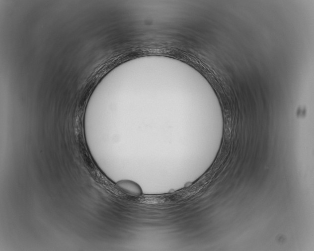 X0000096970746200802291121