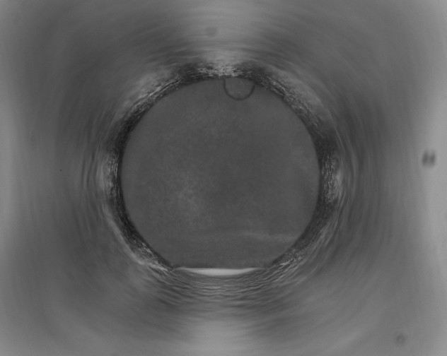 X0000096970747200802291121