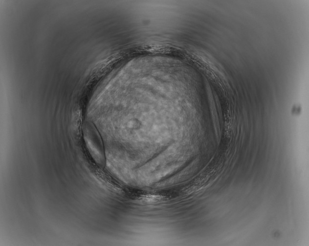 X0000096970748200802291121