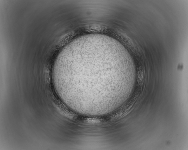 X0000096970749200802291121