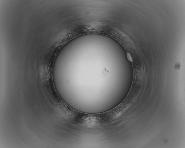 X0000096970751200802291121