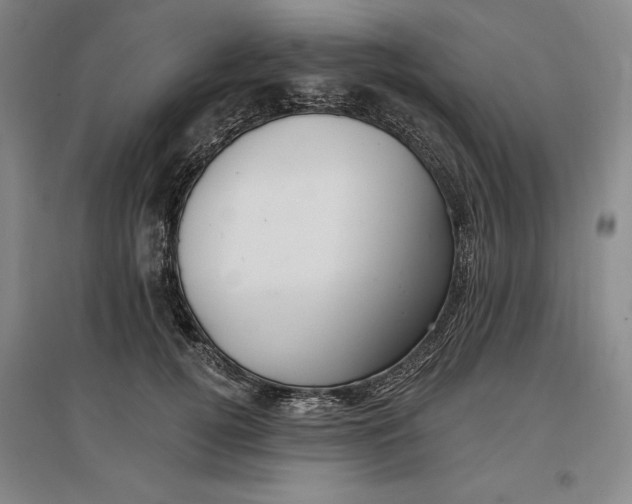 X0000096970752200802291121