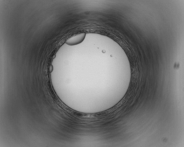 X0000096970754200802291121