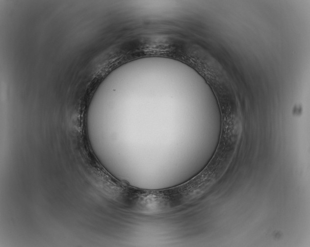 X0000096970755200802291121