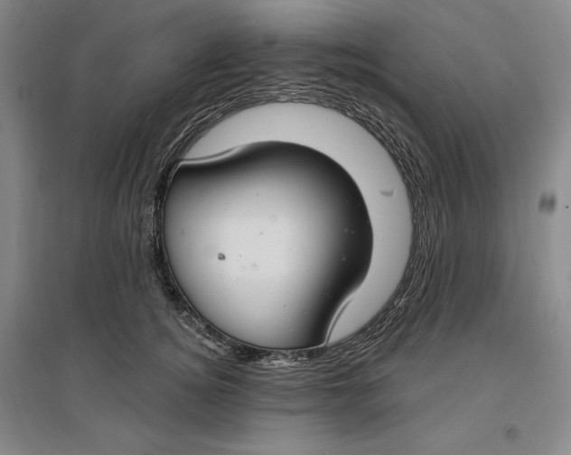 X0000096970756200802291121