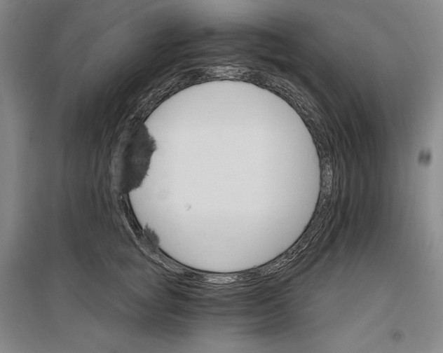 X0000096970757200802291121