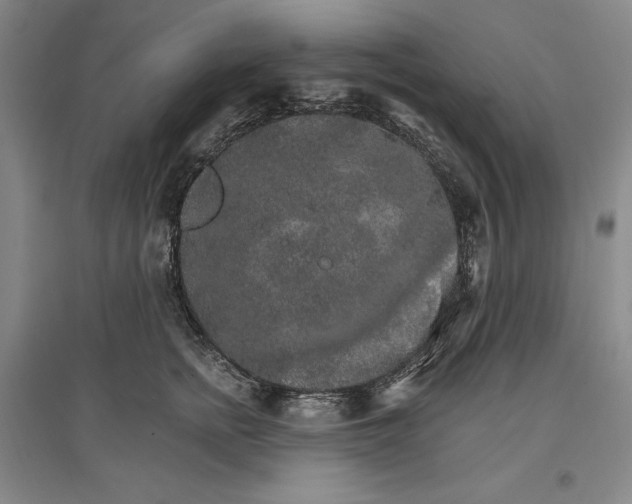 X0000096970758200802291121